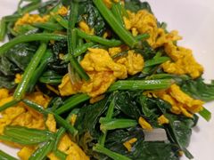 有机蔬菜炒鸡蛋-渔家灯火(明湖店)