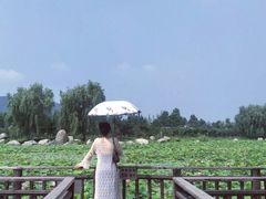 -羊亭河湿地公园