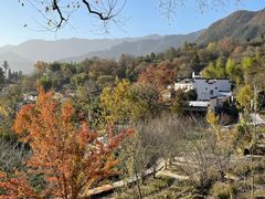 -塔川景区