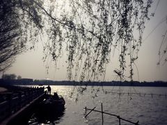 -溱湖国家湿地公园