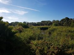 -威勒比开放式动物园