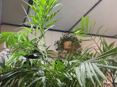 -懒人盐府人家·自贡大麻鱼(安贞店)