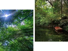 -棠湖公园