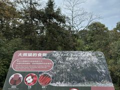 -中国大熊猫保护研究中心雅安碧峰峡基地