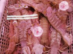 -锦绣大地生鲜食品厅(巨山路店)