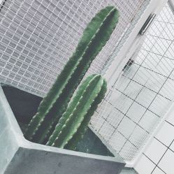 -时尚工厂·科学染发