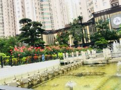 -水围村