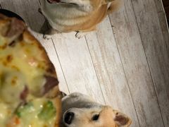 狗狗牛肉披萨-百好乐宠物友好餐厅(朝外大街店)