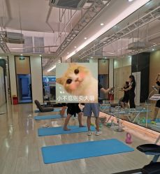 -易型AT20科技健康