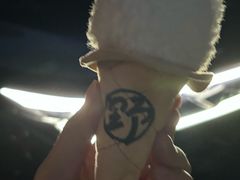 -野人先生现做冰淇淋(北京王府井东方新天地店)