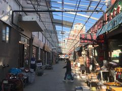 -中环花鸟鱼虫市场