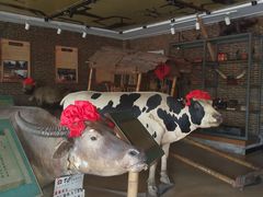 -横沥牛庄(总店)