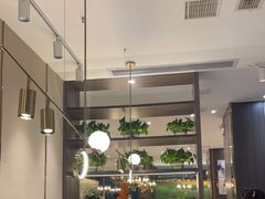 -刘胖子家常菜·蹄花焖藕(中南店)