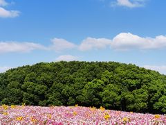 -嘉北郊野公园