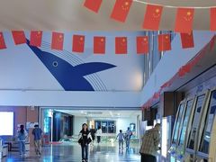 -幸福蓝海国际影城(河西店)