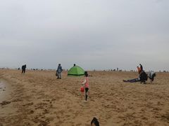 -日照海滨国家森林公园