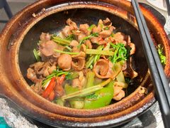 啫啫石斑鱼扣-煲煲好(朝阳门店)
