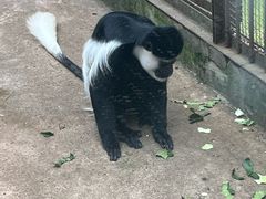-昆明动物园