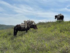 -萍乡武功山风景名胜区