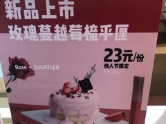 -狐狸和向日葵(北京路店)