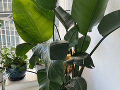 -新航道雅思托福·留学·考研培训(人民广场校区)