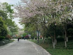 -杭州城北体育公园