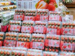 -OCT PARK欢乐时光