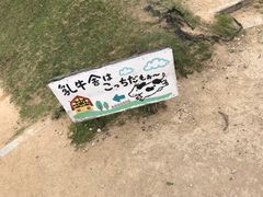 -神户市立六甲山牧场