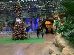 -杭州开元森泊度假乐园