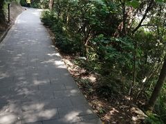 -羚羊峡古栈道森林公园