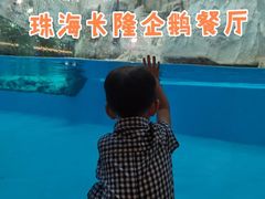 -帝企鹅自助餐厅•儿童岛•真企鹅(长隆企鹅酒店)