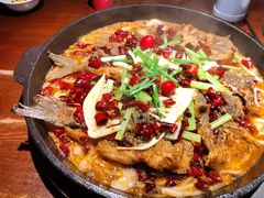 老板恋上鱼-老板恋上鱼(高新万达店)