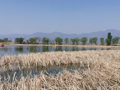 -野鸭湖国家湿地公园