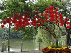 -人民公园(罗湖区)