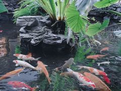 -白天鹅宾馆·流浮阁咖啡厅