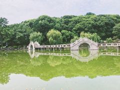 -灵岩山风景区