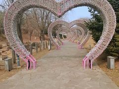 -莫子山公园