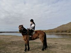 -额尔古纳黑山头绿野马帮骑马场