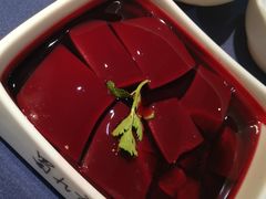 -蜀九香.正宗成都火锅(安吉店)