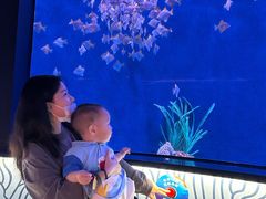 -沈阳海洋探索中心