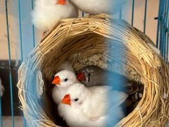 -恒达综合农贸市场(黄山路店)