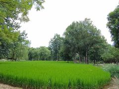 -北坞公园