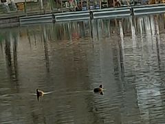 -朝阳公园游乐园