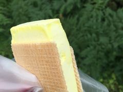-詹爷爷乌节路街头冰淇淋