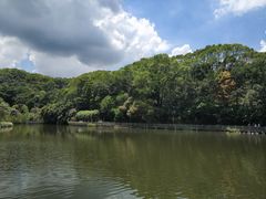 -广州市帽峰山景区
