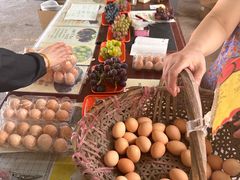 -马陆小张葡萄园农家乐