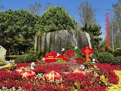 -合肥滨湖国家森林公园