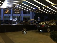 -上海龙之梦万丽酒店