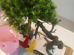 -席仁堂推拿按摩脊柱调理(世纪科贸大厦店)