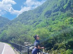-少华山国家森林公园